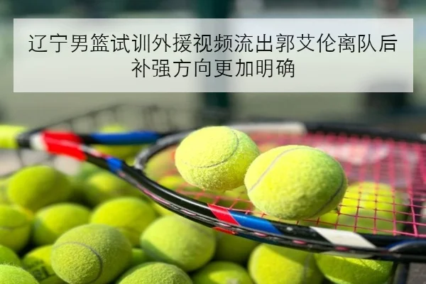 辽宁男篮试训外援视频流出郭艾伦离队后补强方向更加明确
